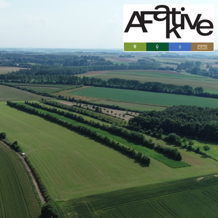 AFaktive - Forschungsprojekt zu nachhaltigen Agroforstsystemen