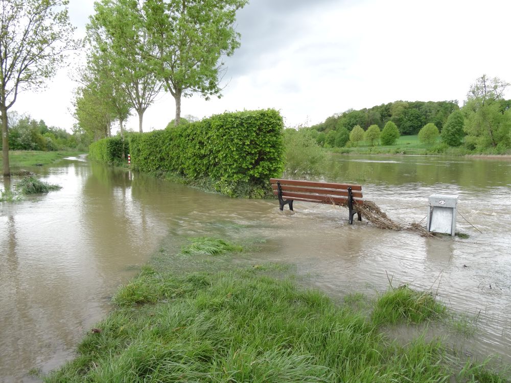 Hochwasser am Fluss